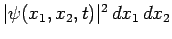 $\vert\psi(x_1,x_2,t)\vert^2 dx_1 dx_2$