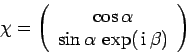 \begin{displaymath}
\chi =\left(\begin{array}{c}\cos\alpha\ \sin\alpha \exp( {\rm i} \beta)\end{array}\right)
\end{displaymath}