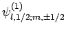 $\psi^{(1)}_{l,1/2;m,\pm 1/2}$