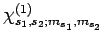 $\chi_{s_1,s_2;m_{s_1},m_{s_2}}^{(1)}$