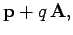 $\displaystyle {\bf p} + q { \bf A},$